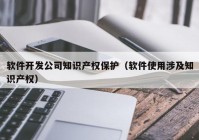 软件开发公司知识产权保护（软件使用涉及知识产权）