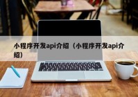 小程序开发api介绍（小程序开发api介绍）