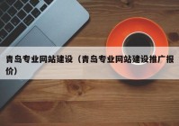 青岛专业网站建设（青岛专业网站建设推广报价）