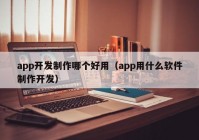 app开发制作哪个好用（app用什么软件制作开发）