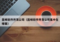 昆明软件开发公司（昆明软件开发公司集中在哪里）