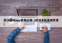 武汉游戏app开发公司（武汉手机游戏开发）