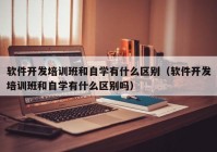 软件开发培训班和自学有什么区别（软件开发培训班和自学有什么区别吗）