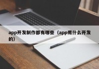 app开发制作都有哪些（app用什么开发的）