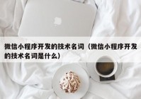 微信小程序开发的技术名词（微信小程序开发的技术名词是什么）