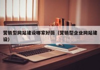 营销型网站建设哪家好薇（营销型企业网站建设）