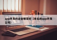 app开发的企业哪家好（有名的app开发公司）