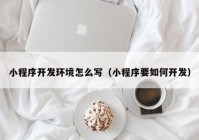 小程序开发环境怎么写（小程序要如何开发）