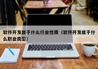 软件开发属于什么行业性质（软件开发属于什么职业类型）